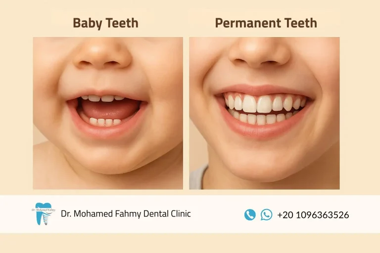الفرق بين الأسنان اللبنية والدائمة