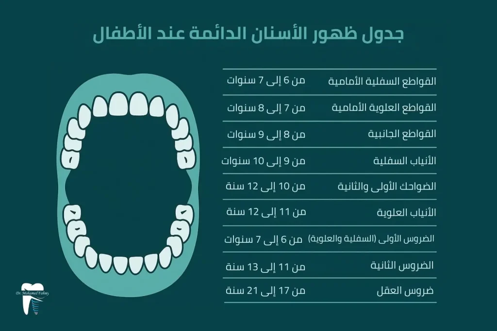 جدول ظهور الأسنان الدائمة عند الأطفال